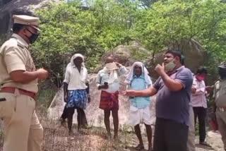 Leopard attack on Goat Nallamadugu, leopard wandering