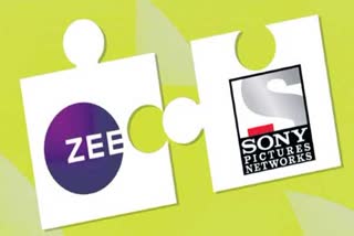 Zee Sony News