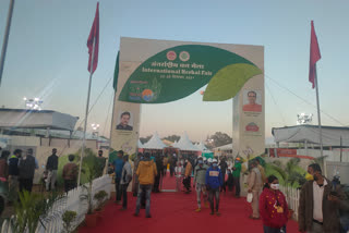 International Forest Fair