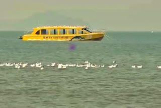 seabird-in-karwar-castral-area