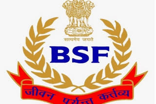 Suspected cattle smuggler shot dead by BSF at Bangladesh border