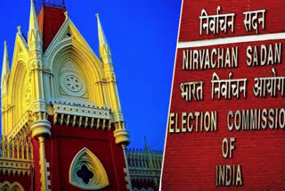 remaining municipal election of west bengal will be  done by february, says calcutta high court