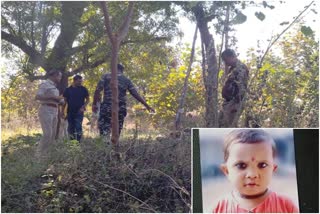 तीन वर्षीय चिमुकली चार दिवसापासून बेपत्ता