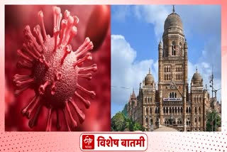 Coronavirus covid cases rise again in maharashtra