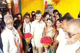 chandra-babu-naidu-visit-farmer-marriage-at-guntur