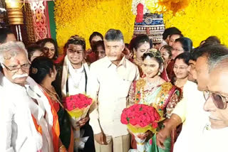 chandrababu naidu attends farmer son's marriage