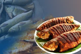 EATING FISH A TRENDING BUSINESS OF WINTERS IN KASHMIR