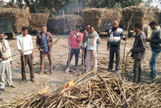 गन्ना जलाकर किसानों ने किया विरोध, कहा चीनी मिल गन्ना तौल में कर रही मनमानी