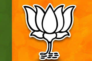 Changes in BJPs District Organisation