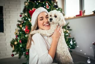 Ensuring Your Pet’s Safety Amidst Christmas Festivities, pet care tips