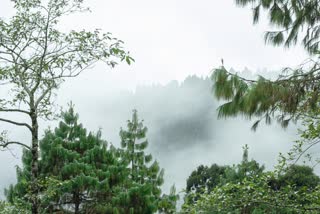 Snowfall at Darjeeling