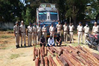 Red sandalwood logs Seized