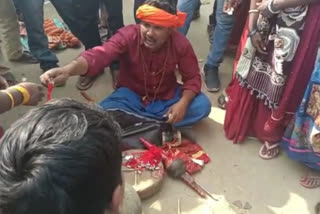 snake charmers cheated people