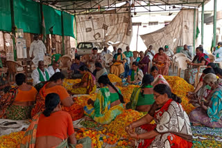 Amravati farmers making huge arrangements for CJI arrival