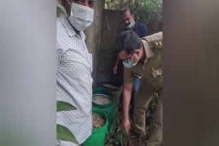 excise seized wash from palakkad sathramkavu river  parali excise team  പാലക്കാട്‌ സത്രംകാവില്‍ വാഷ് പിടികൂടി  പറളി എക്സൈ‌സ് സംഘം