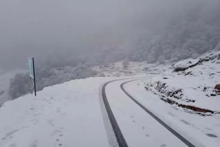 snowfall-in-chopta