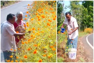 വാളാച്ചിറ ചാക്കോച്ചൻ  നെല്ലിമറ്റം പാതയുടെ ഇരു വശത്തായി പൂന്തോട്ടം  Nellimattom Chackochan roadside gardening  Chackochan creating flower garden  തെക്കുംകാനം വീടിന് മുന്നിൽ ഉദ്യാനം  റോഡ് സൈഡ് പൂന്തോട്ടം