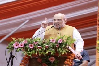 SP, BSP are casteist parties, says Amit Shah