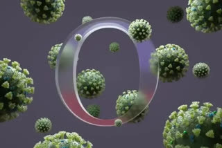 Omicron virus in kowthalam
