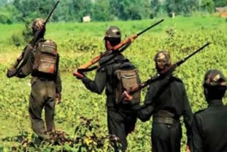 Six Maoists killed in encounter on Telangana-Chhattisgarh border  Six Maoists killed in Telangana  Encounter between Maoists and police in Telangana  Telangana border gunfight  തെലങ്കാന-ഛത്തീസ്‌ഗഢ് അതിർത്തിയിൽ ഏറ്റുമുട്ടൽ  ഏറ്റുമുട്ടലിൽ മാവോയിസ്റ്റുകൾ കൊല്ലപ്പെട്ടു  തെലങ്കാന പൊലീസ് എലൈറ്റ് ഗ്രേഹൗണ്ട്സ് സേന