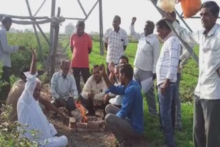 Junagadh Farmer protest : વંથલીના થાણા પીપળી ગામના ખેડૂતોએ ખેતરમાં ઉભા થઈ રહેલા વીજપોલને લઈને દર્શાવ્યો ઉગ્ર વિરોધ