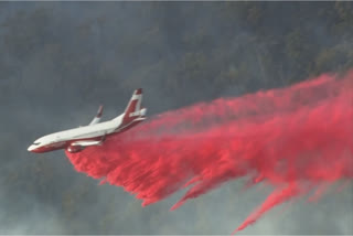 Firefighters contain 2 bush fires in Western Australia