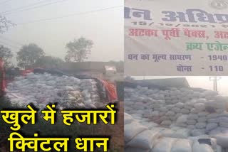 thousands-sacks-of-paddy-in-outside-atka-purvi-pacs-in-giridih