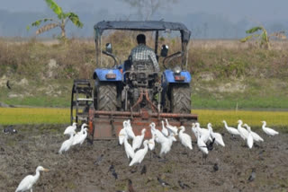 Climate friendly farming will be done in 10 districts of Bihar