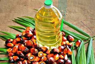 Oil Palm Business Summit 2021