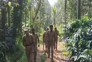 forest department end Kurukkanmoola tiger search  Kurukkanmoola tiger attack  കുറുക്കന്മൂല കടുവ ആക്രമണം  വയനാട് കടുവ തെരച്ചിൽ നിർത്താൻ വനം വകുപ്പ്