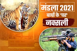 Naxalites wanted captured Kanha Tiger Reserve in Madhya Pradesh in 2021