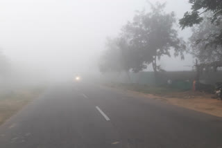 NATURE BEAUTY ON FOGG IN AP