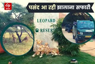 Jhalana Leopard Safari