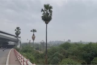 Unseasonal Rains In Gujarat: વડોદરાના વાતાવરણ પલટો સવારથી ઝરમર વરસાદથી ખેડૂતોની ચિંતામાં વધારો