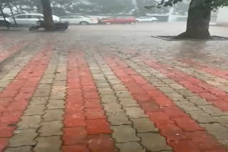 rain and hailstorm in balrampur