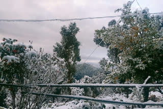 snowfall in almora