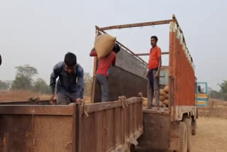 paddy illegal transportation in sakti