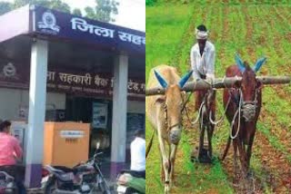 Farmers of Jabalpur will have to pay agricultural loan