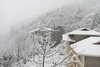 snow fall in Darjeeling