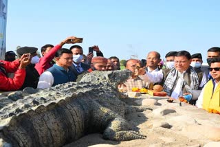 CM Pushkar Dhami inaugurated Crocodile Safari