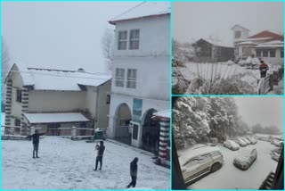 Snowfall In Uttarakhand