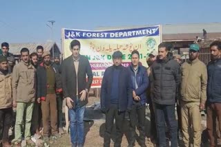 plantation-drive-by-forest-department-in-fruit-mandi-sopore