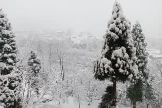 queen of hills  snowfall in darjeeling  ഡാര്‍ജലിങ് മഞ്ഞുവീഴ്‌ച  കുന്നുകളുടെ രാജ്ഞി  ടൈഗര്‍ ഹില്‍ മഞ്ഞുവീഴ്‌ച