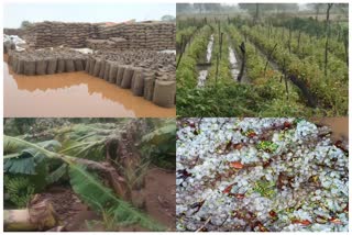 unseasonal rain chhattisgarh