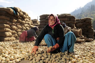 chips factory in Manali