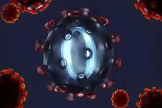omicron immune escape