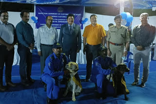 two sniffing dogs at chennai airport