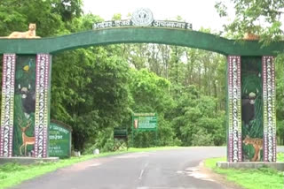 2 new gates will open in Achanakmar Tiger Reserve from January