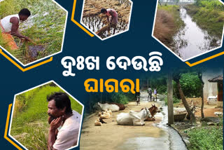 mayurbhanj canal issue: ଦୁଃଖ ଦେଉଛି ଘାଗରା କେନାଲ