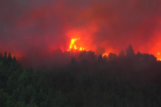 Argentina forest fire